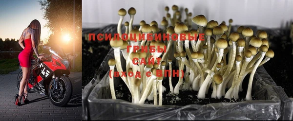 mdma Бронницы