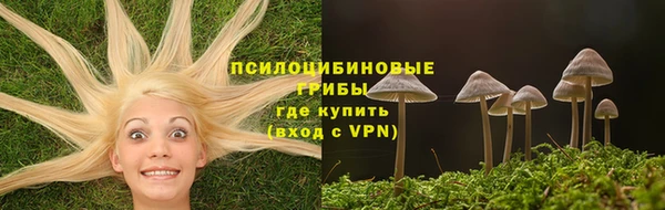 марки nbome Бородино